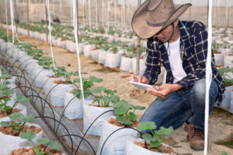 Les avantages du fil agricole monofilament synthétique pour vos cultures